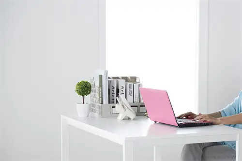 百达公司新项目介绍